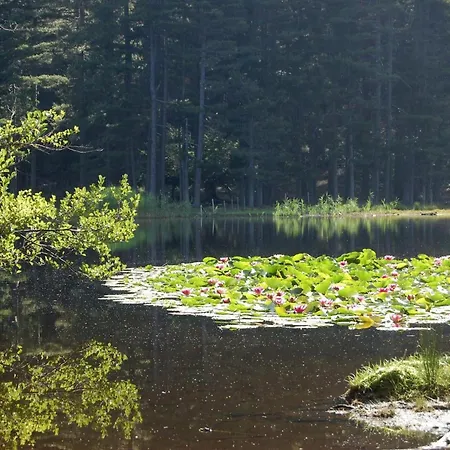 Piscine Jacuzzi Alata