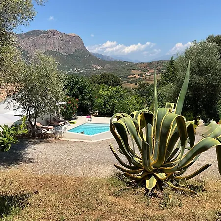 Chambre Studio Chez L Habitant Daire