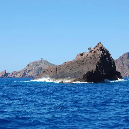 Chambre Studio Chez L Habitant Lägenhet