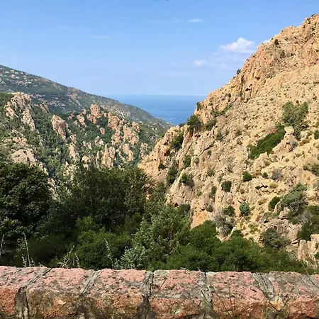 Daire Chambre Studio Chez L Habitant Alata