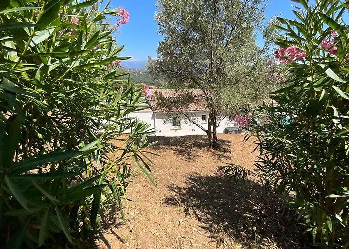 公寓 Chambre Studio Chez L Habitant