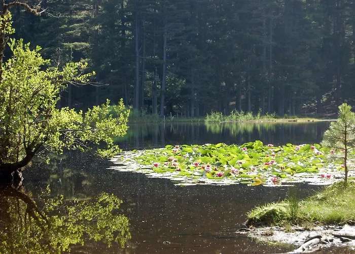 Chambre Studio Chez L Habitant 阿拉塔